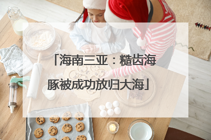 海南三亚：糙齿海豚被成功放归大海