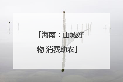 海南：山城好物 消费助农