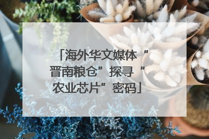 海外华文媒体“晋南粮仓”探寻“农业芯片”密码