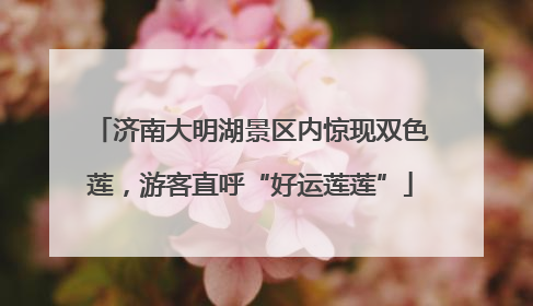 济南大明湖景区内惊现双色莲，游客直呼“好运莲莲”