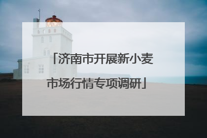 济南市开展新小麦市场行情专项调研