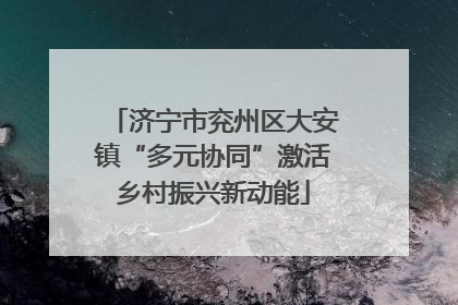 济宁市兖州区大安镇“多元协同”激活乡村振兴新动能