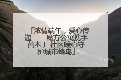 浓情端午，爱心传递——魔方公寓携手黄木 厂社区暖心守护城市蜂鸟