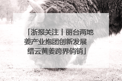 浙报关注丨丽台两地姜产业抱团创新发展 缙云黄姜跨界俏销