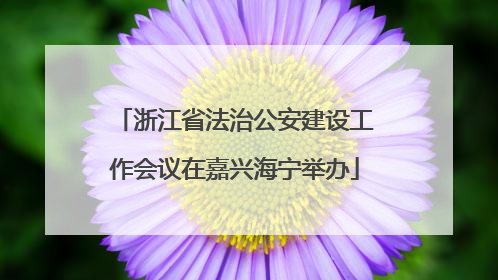 浙江省法治公安建设工作会议在嘉兴海宁举办