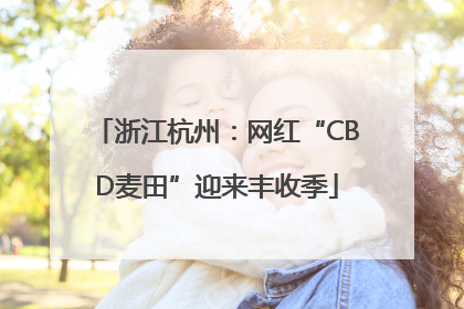 浙江杭州：网红“CBD麦田”迎来丰收季
