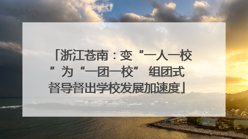 浙江苍南：变“一人一校”为“一团一校” 组团式督导督出学校发展加速度