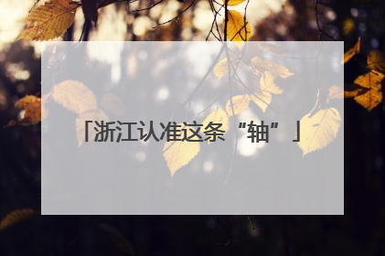 浙江认准这条“轴”