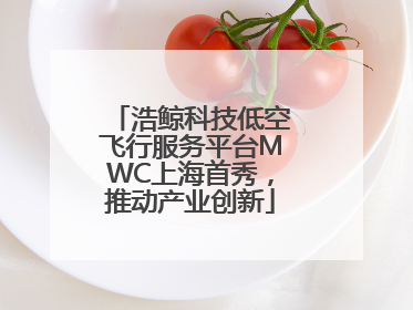 浩鲸科技低空飞行服务平台MWC上海首秀，推动产业创新