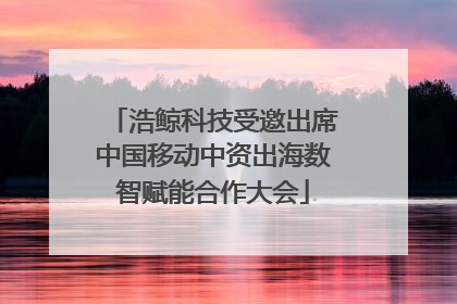 浩鲸科技受邀出席中国移动中资出海数智赋能合作大会