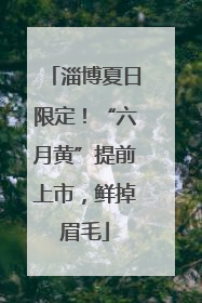 淄博夏日限定！“六月黄”提前上市，鲜掉眉毛