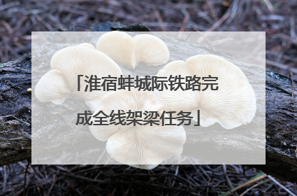 淮宿蚌城际铁路完成全线架梁任务