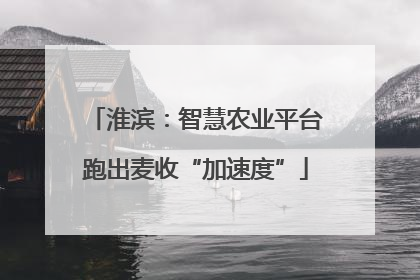 淮滨：智慧农业平台跑出麦收“加速度”