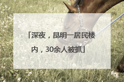 深夜，昆明一居民楼内，30余人被抓