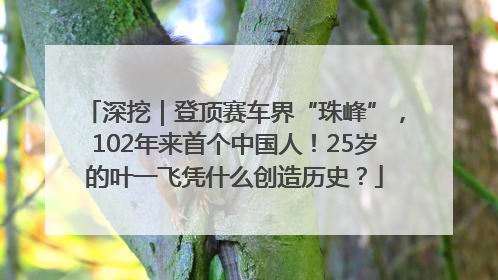 深挖｜登顶赛车界“珠峰”，102年来首个中国人！25岁的叶一飞凭什么创造历史？