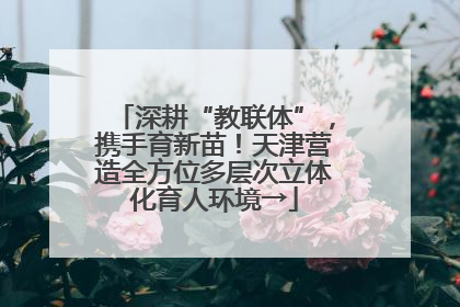深耕“教联体”，携手育新苗！天津营造全方位多层次立体化育人环境→