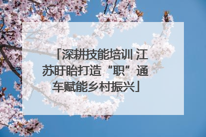 深耕技能培训 江苏盱眙打造“职”通车赋能乡村振兴