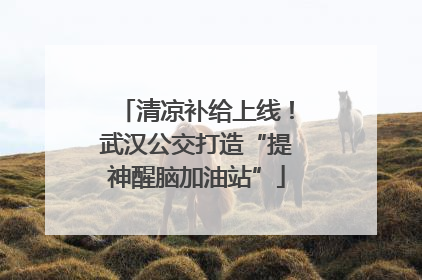 清凉补给上线！武汉公交打造“提神醒脑加油站”