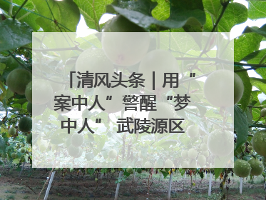 清风头条｜用“案中人”警醒“梦中人” 武陵源区百名干部“零距离”接受警示教育
