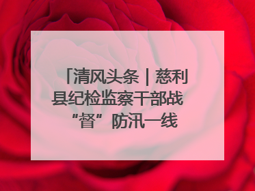 清风头条｜慈利县纪检监察干部战“督”防汛一线 守护群众利益