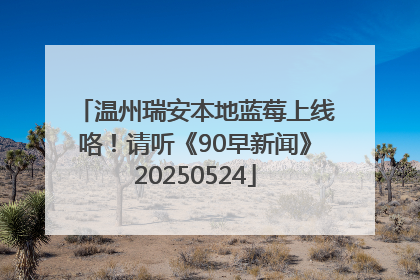 温州瑞安本地蓝莓上线咯！请听《90早新闻》20250524