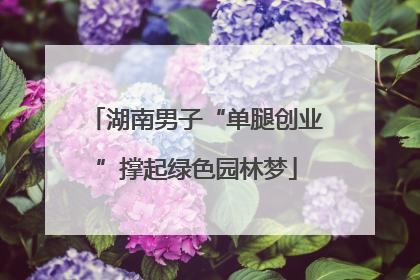 湖南男子“单腿创业”撑起绿色园林梦
