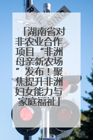 湖南省对非农业合作项目“非洲母亲新农场”发布！聚焦提升非洲妇女能力与家庭福祉