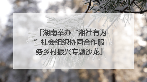 湖南举办“湘社有为”社会组织协同合作服务乡村振兴专题沙龙