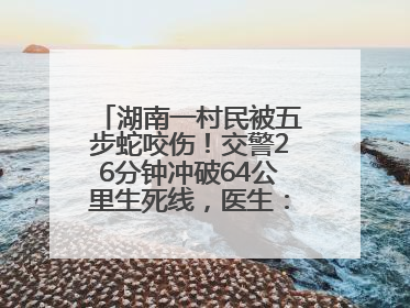 湖南一村民被五步蛇咬伤！交警26分钟冲破64公里生死线，医生：再晚20分钟或将呼吸肌麻痹
