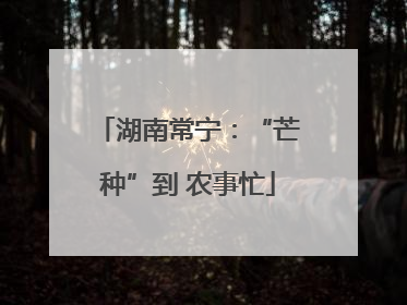 湖南常宁：“芒种”到 农事忙