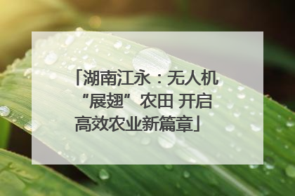 湖南江永：无人机“展翅”农田 开启高效农业新篇章