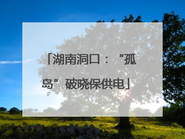 湖南洞口：“孤岛”破晓保供电