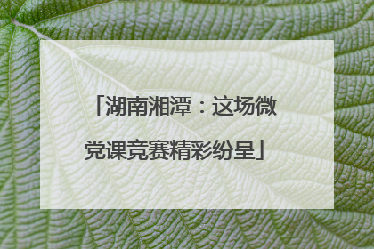 湖南湘潭：这场微党课竞赛精彩纷呈
