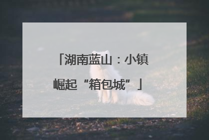 湖南蓝山：小镇崛起“箱包城”