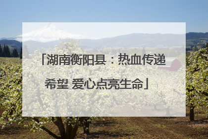 湖南衡阳县：热血传递希望 爱心点亮生命