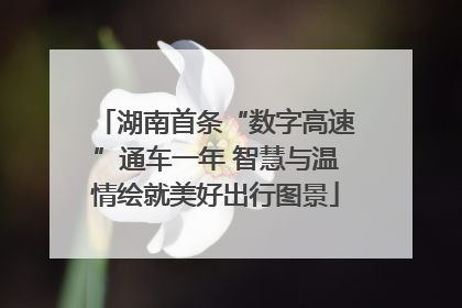 湖南首条“数字高速”通车一年 智慧与温情绘就美好出行图景