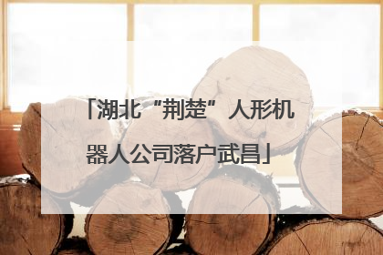 湖北“荆楚”人形机器人公司落户武昌