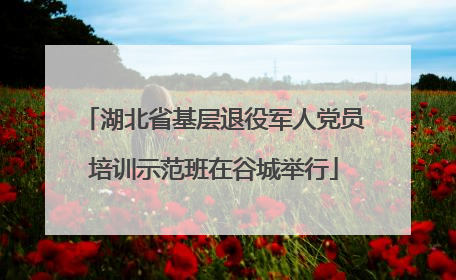 湖北省基层退役军人党员培训示范班在谷城举行