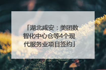 湖北咸安：美团数智化中心仓等4个现代服务业项目签约