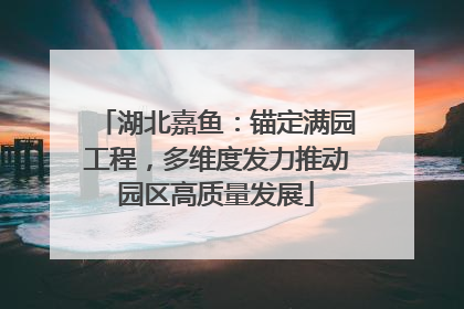 湖北嘉鱼：锚定满园工程，多维度发力推动园区高质量发展
