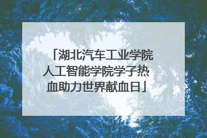 湖北汽车工业学院人工智能学院学子热血助力世界献血日