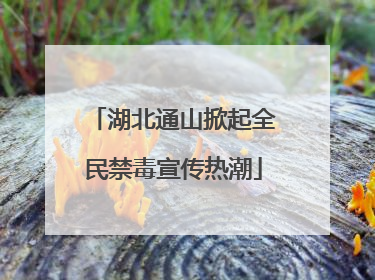 湖北通山掀起全民禁毒宣传热潮