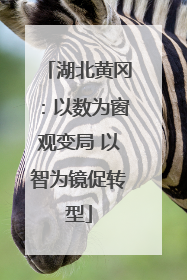 湖北黄冈：以数为窗观变局 以智为镜促转型