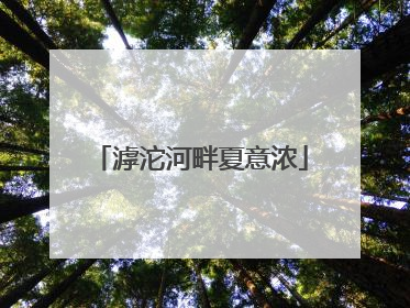 滹沱河畔夏意浓
