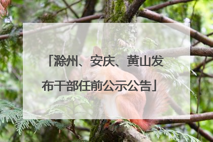 滁州、安庆、黄山发布干部任前公示公告
