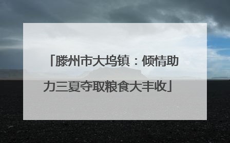 滕州市大坞镇：倾情助力三夏夺取粮食大丰收