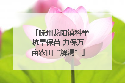 滕州龙阳镇科学抗旱保苗 力保万亩农田“解渴”
