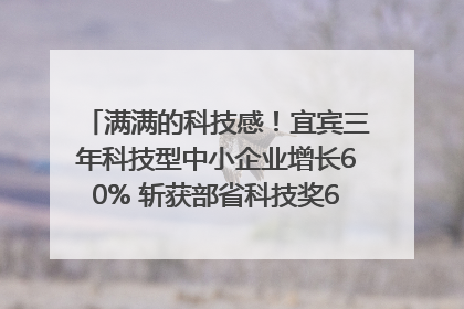 满满的科技感！宜宾三年科技型中小企业增长60% 斩获部省科技奖6项｜您牵挂的四川