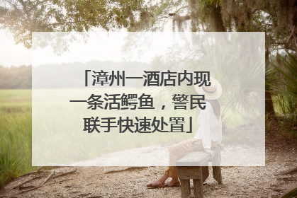 漳州一酒店内现一条活鳄鱼，警民联手快速处置