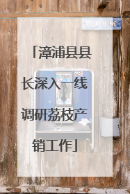漳浦县县长深入一线调研荔枝产销工作